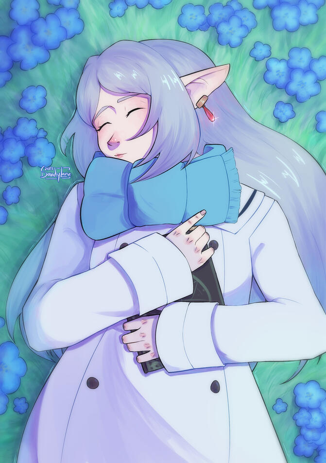 Frieren Napping